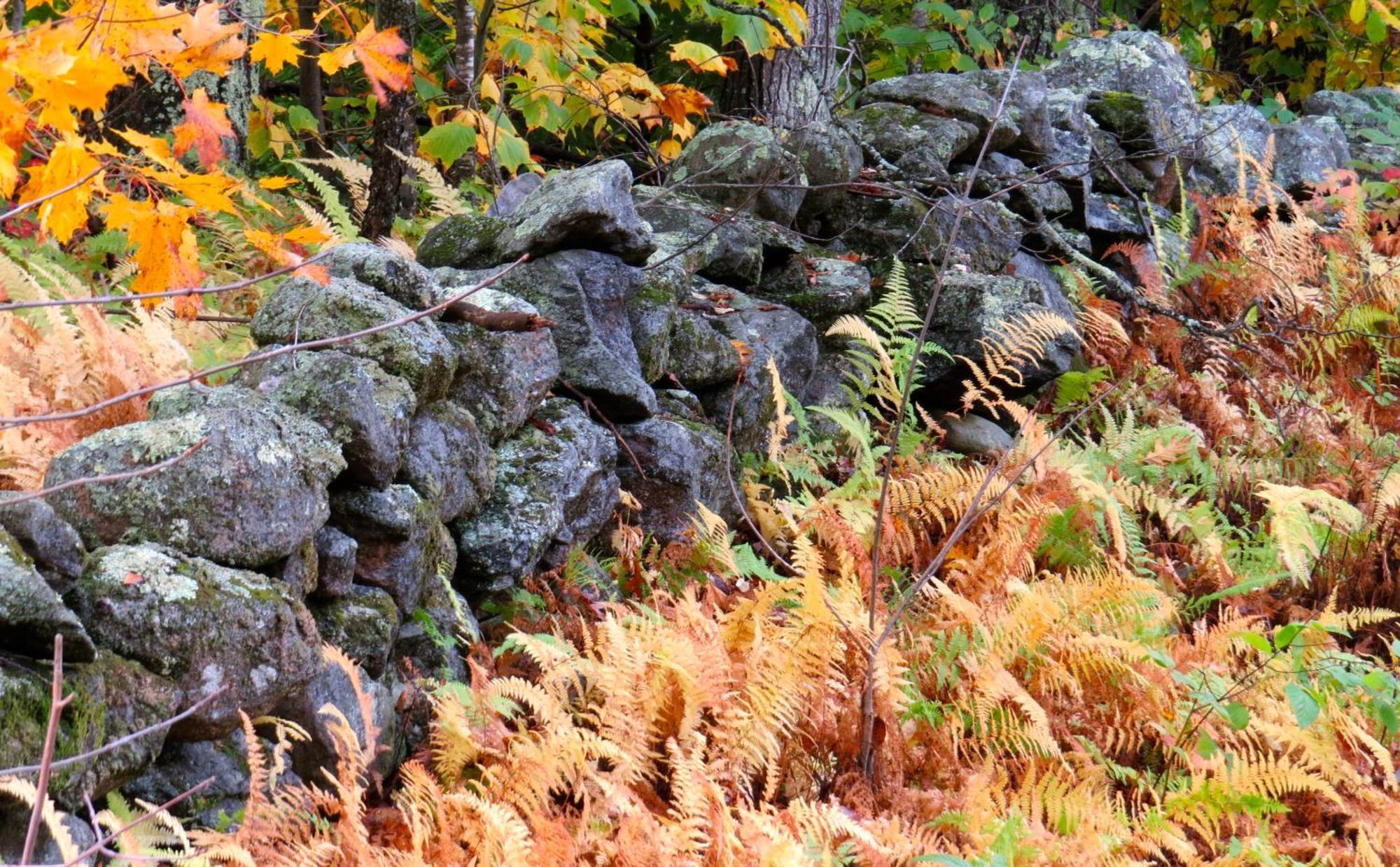 Maguire House Bed And Breakfast Ashburnham Exteriér fotografie