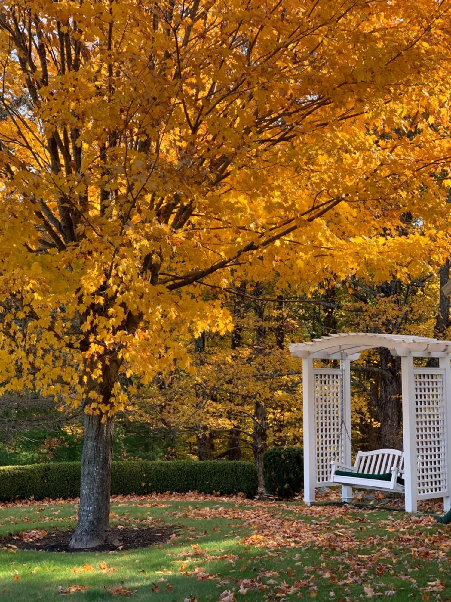 Maguire House Bed And Breakfast Ashburnham Exteriér fotografie