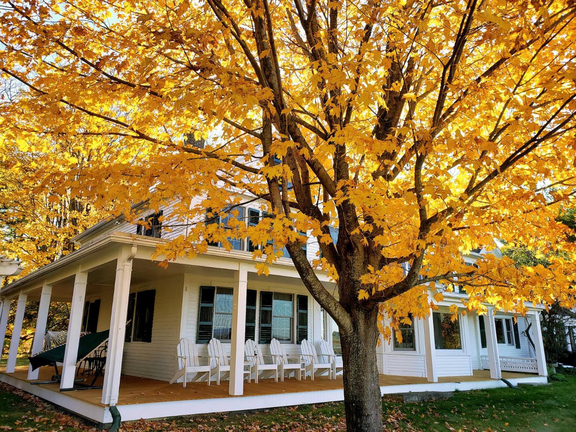 Maguire House Bed And Breakfast Ashburnham Exteriér fotografie
